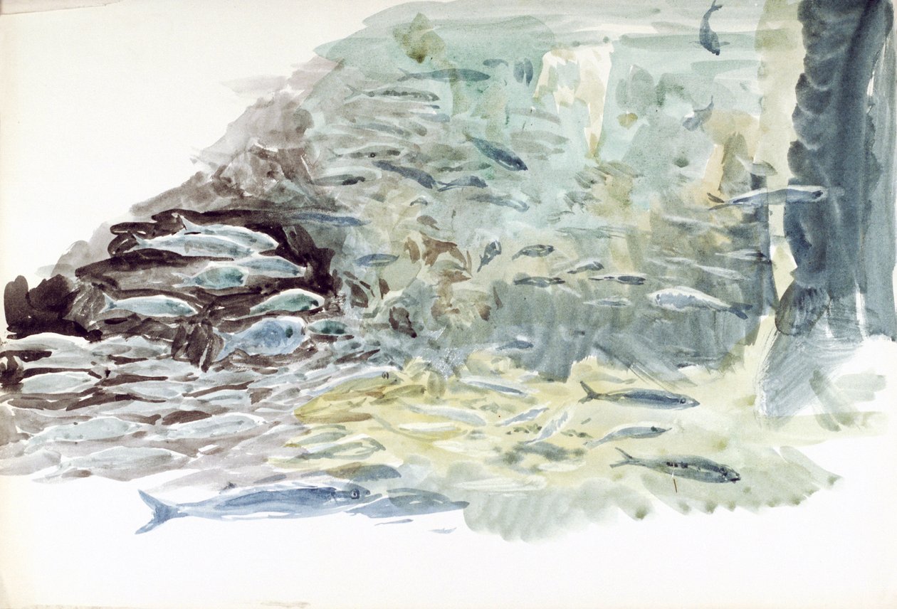 Undervandsbillede af en fiskestime af William Lionel Wyllie