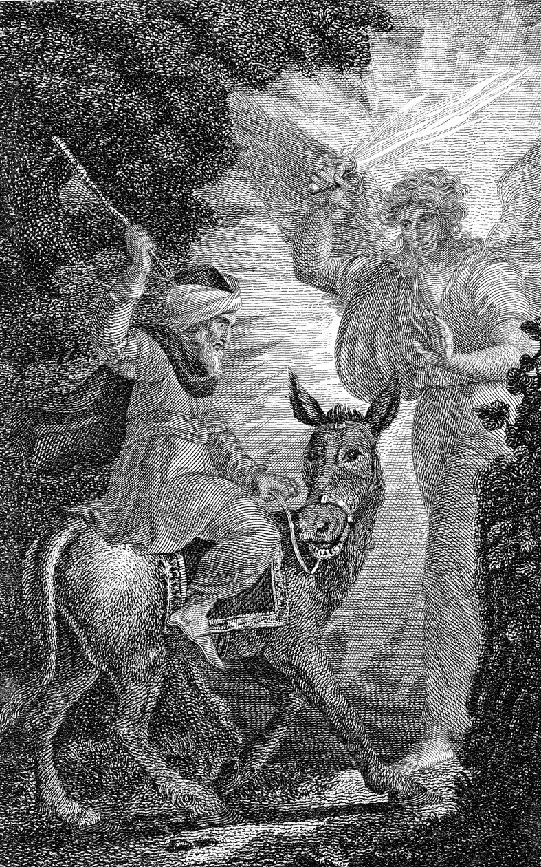 Balaams Ass, c1790-1834dani af William Marshall Craig