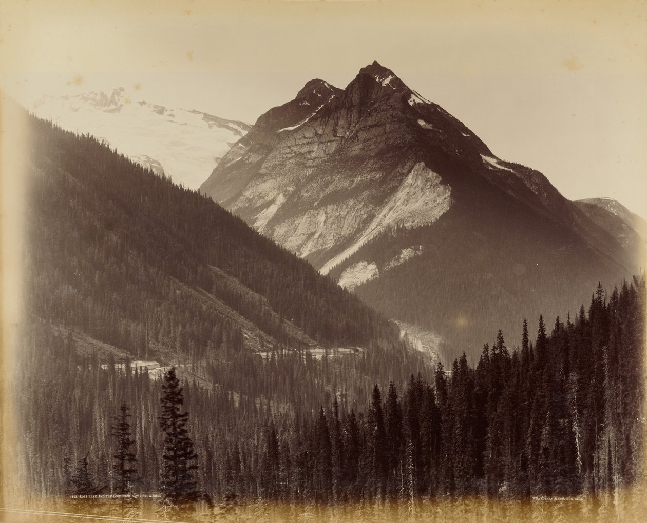 Ross Peak og Loop fra No. 19 Snow Shed af William McFarlane Notman