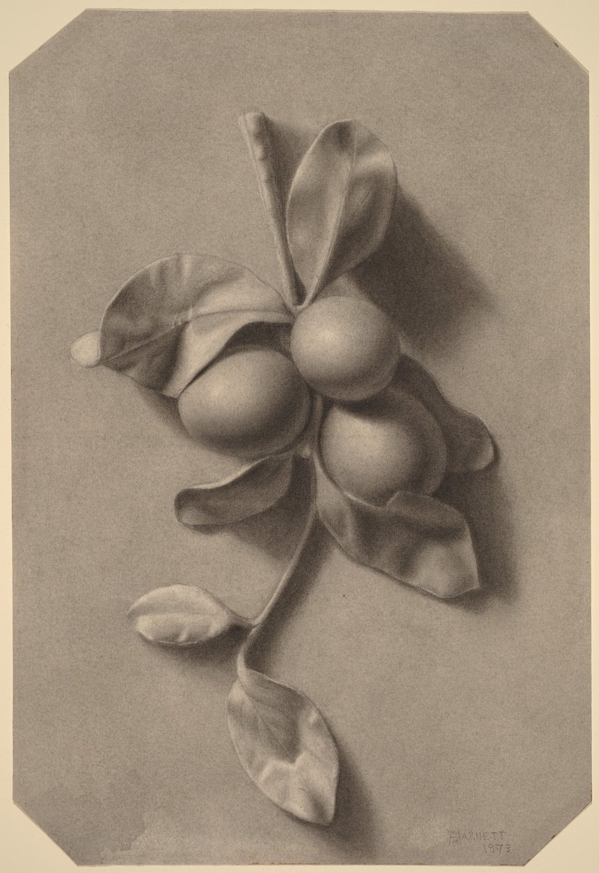 En kvist med blommer af William Michael Harnett