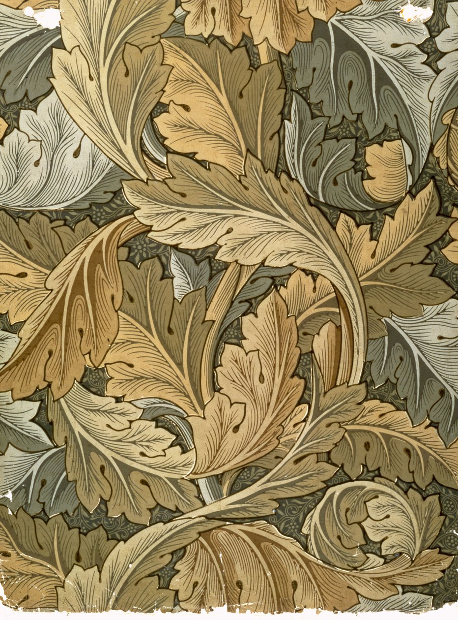Acanthus tapet, designet af William Morris (1834-96), 1875 af William Morris