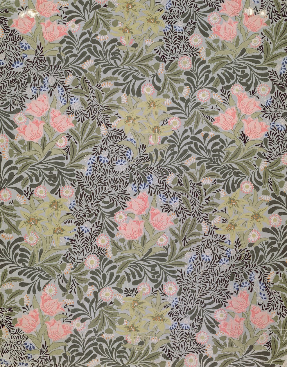 Tapetdesign med tulipaner, tusindfryd og kaprifolier (tapet) af William Morris