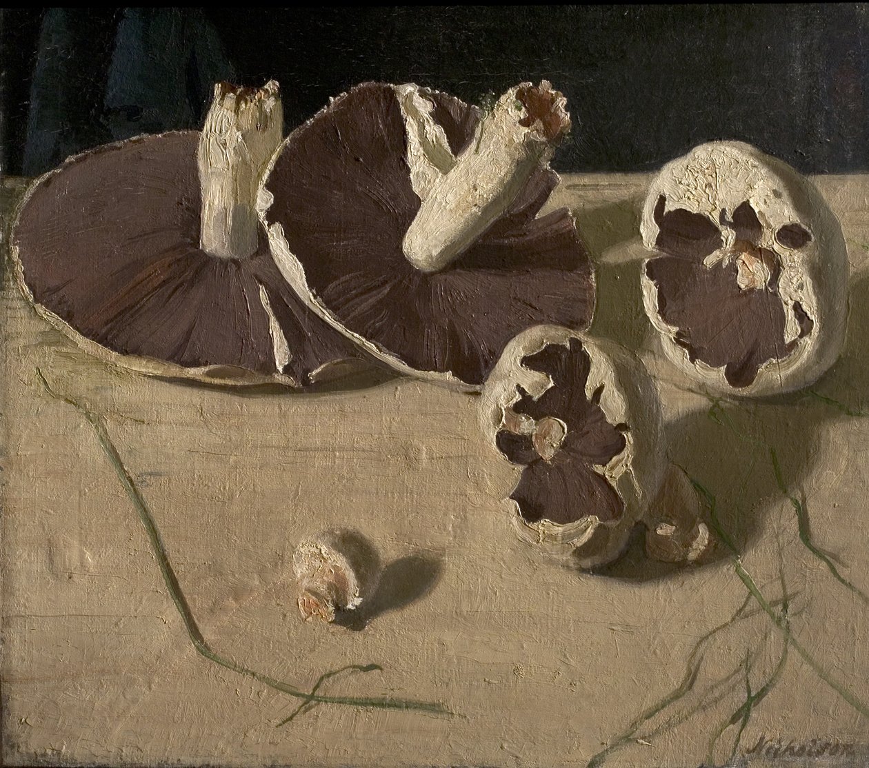 Svampe af William Nicholson