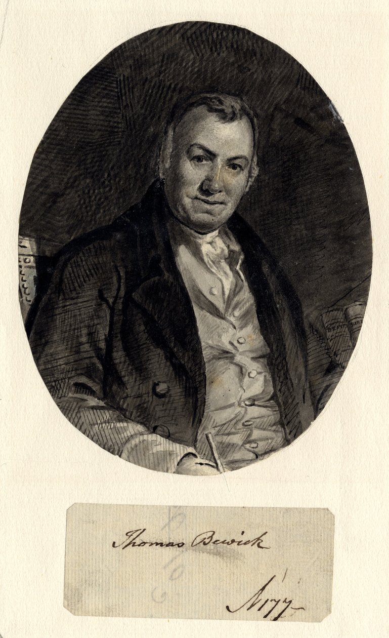 Portræt af Thomas Bewick (blæk på papir (klæbet på papir)) af William Nicholson