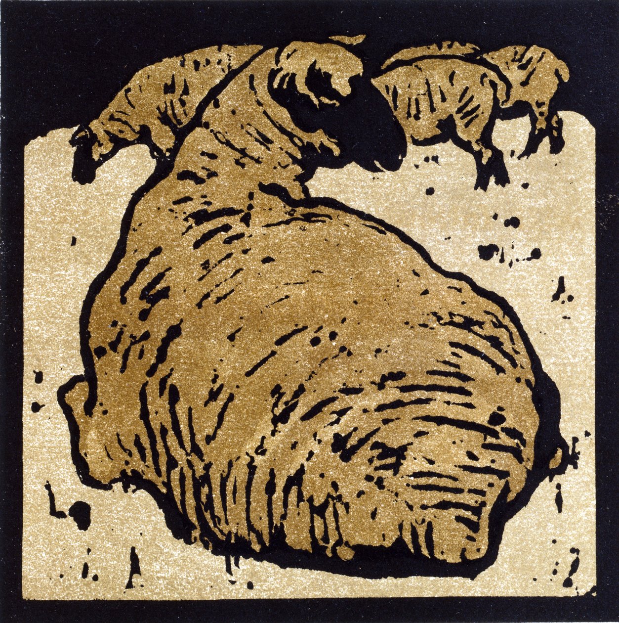 The Simple Sheep, illustration fra 