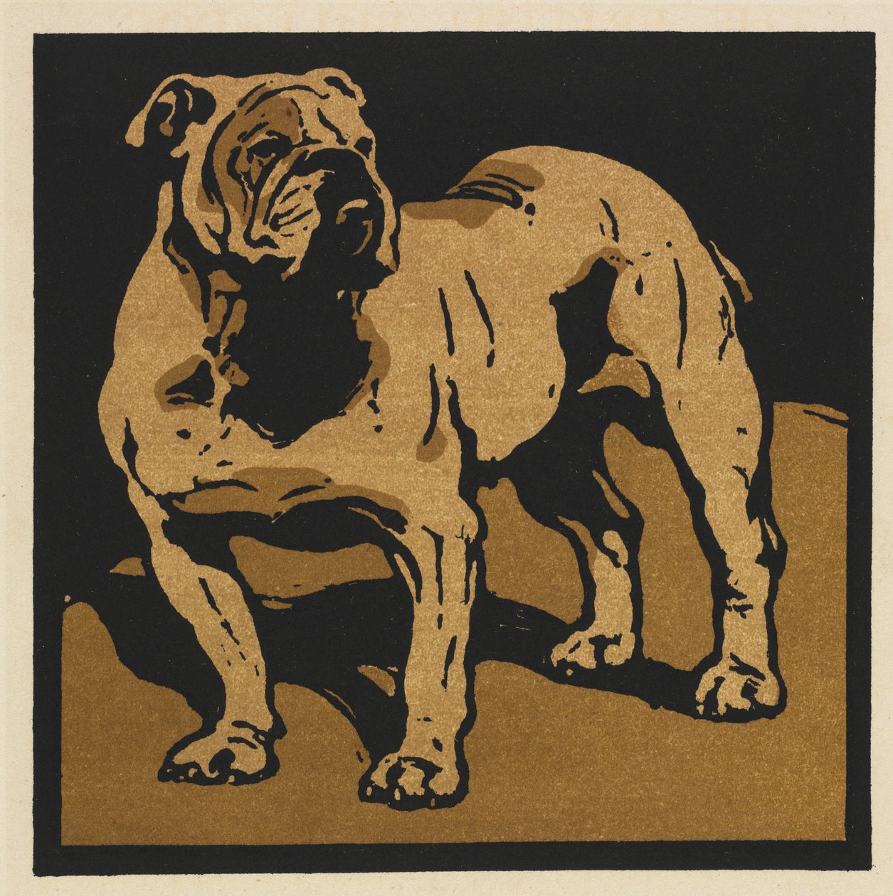 The Square Book of Animals: The British Bull-Dog af William Nicholson