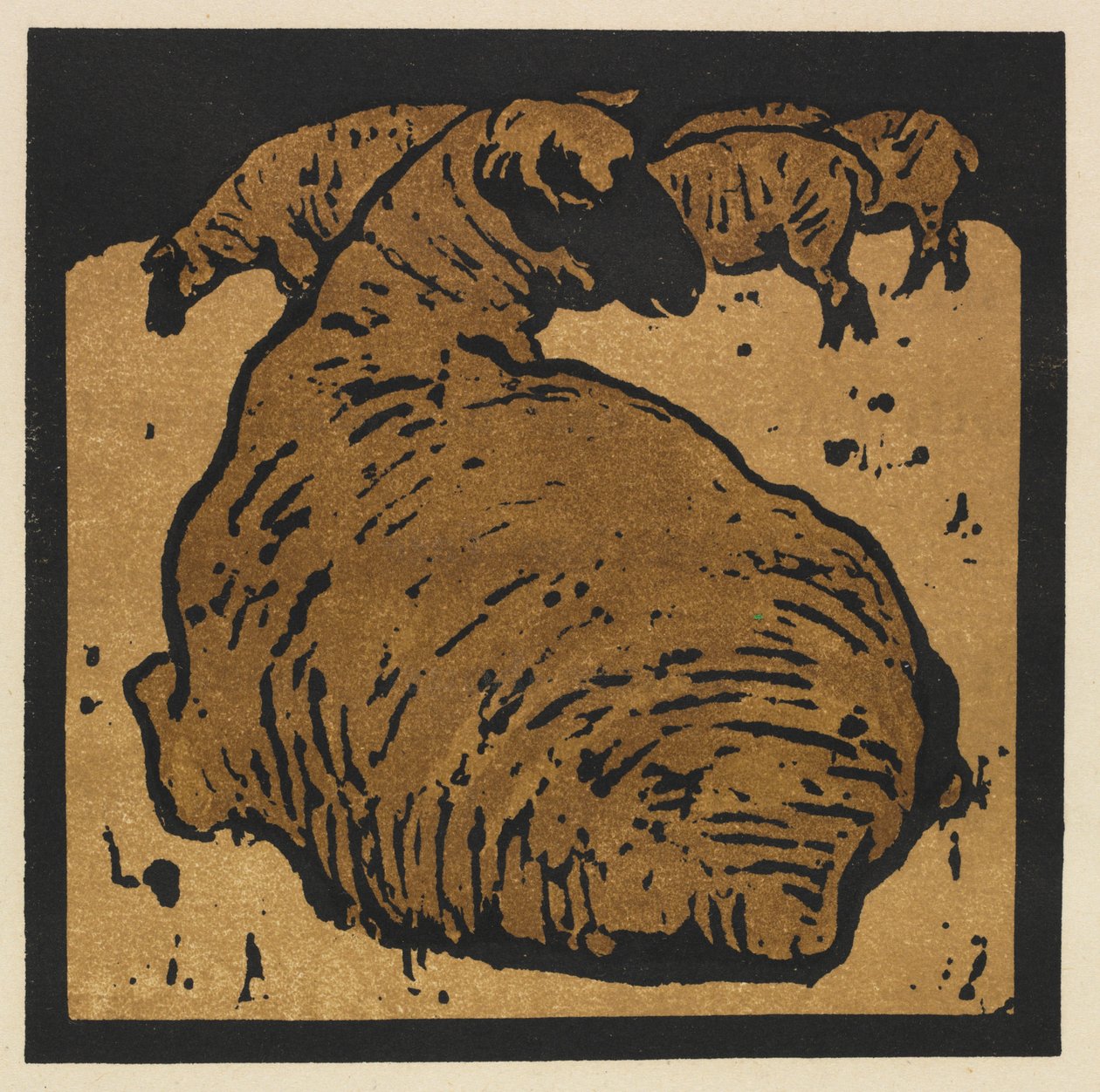 Den firkantede bog om dyr: Det enkle får af William Nicholson