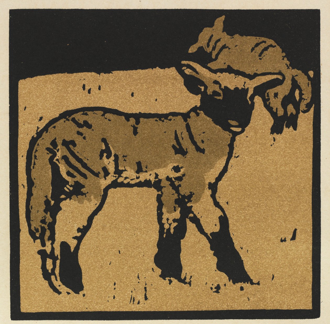 The Square Book of Animals: The Very Tame Lamb af William Nicholson