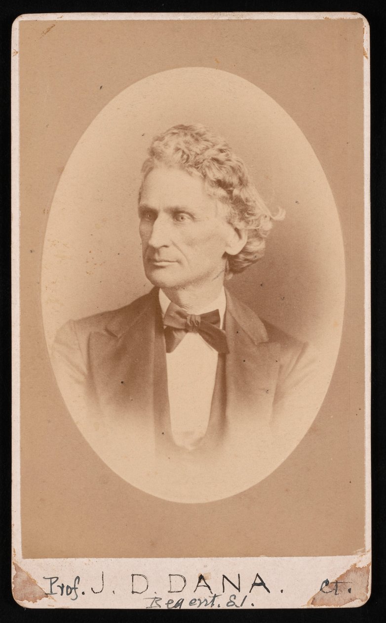 Portræt af James Dwight Dana 1813-1895, før 1891. af William Notman