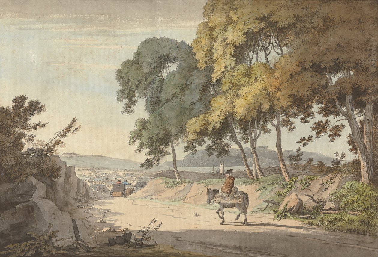 Udsigt over Plymouth taget fra de syv træer, Exeter Road af William Payne