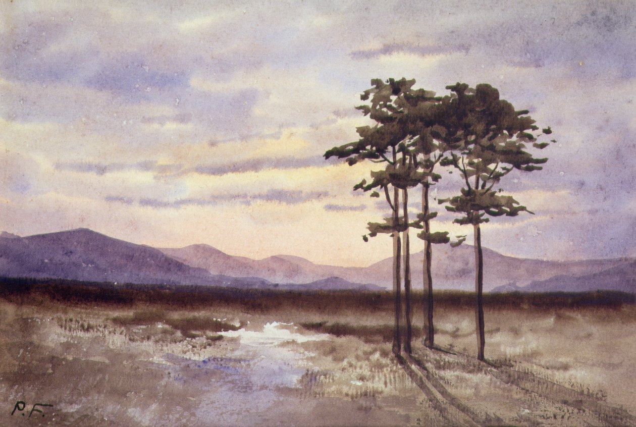 Sunset, County Sligo (akvarel på papir) af William Percy French