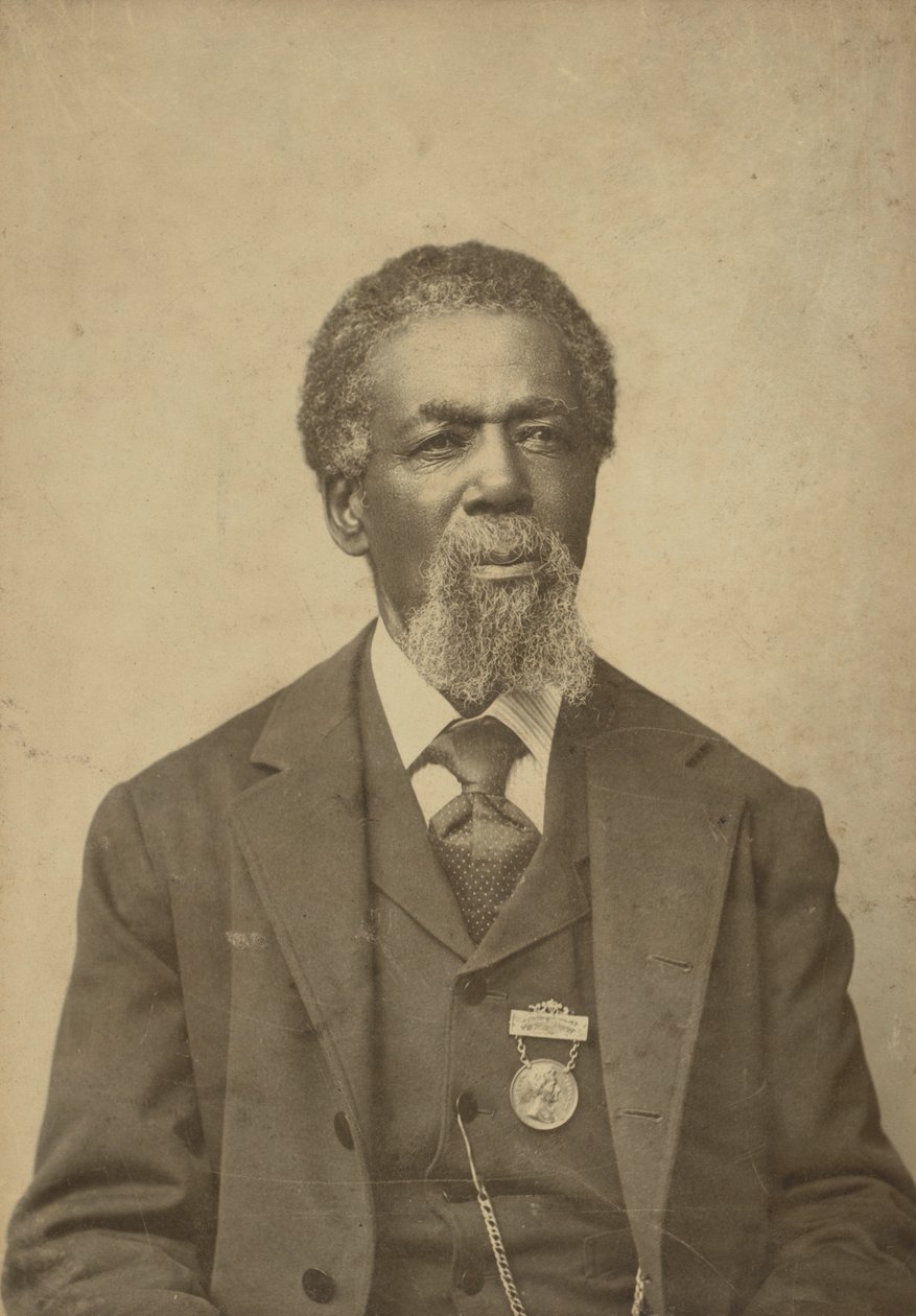 Skabskortportræt af Thomas Mundy Peterson, 1884. af William R. Tobias