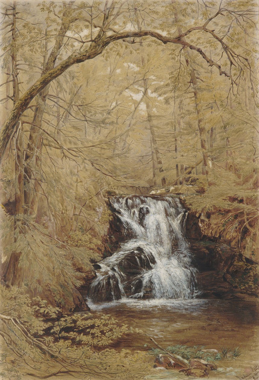 Indian Falls, Indian Brook, Cold Springs, New York, 1850. af William Rickarby Miller