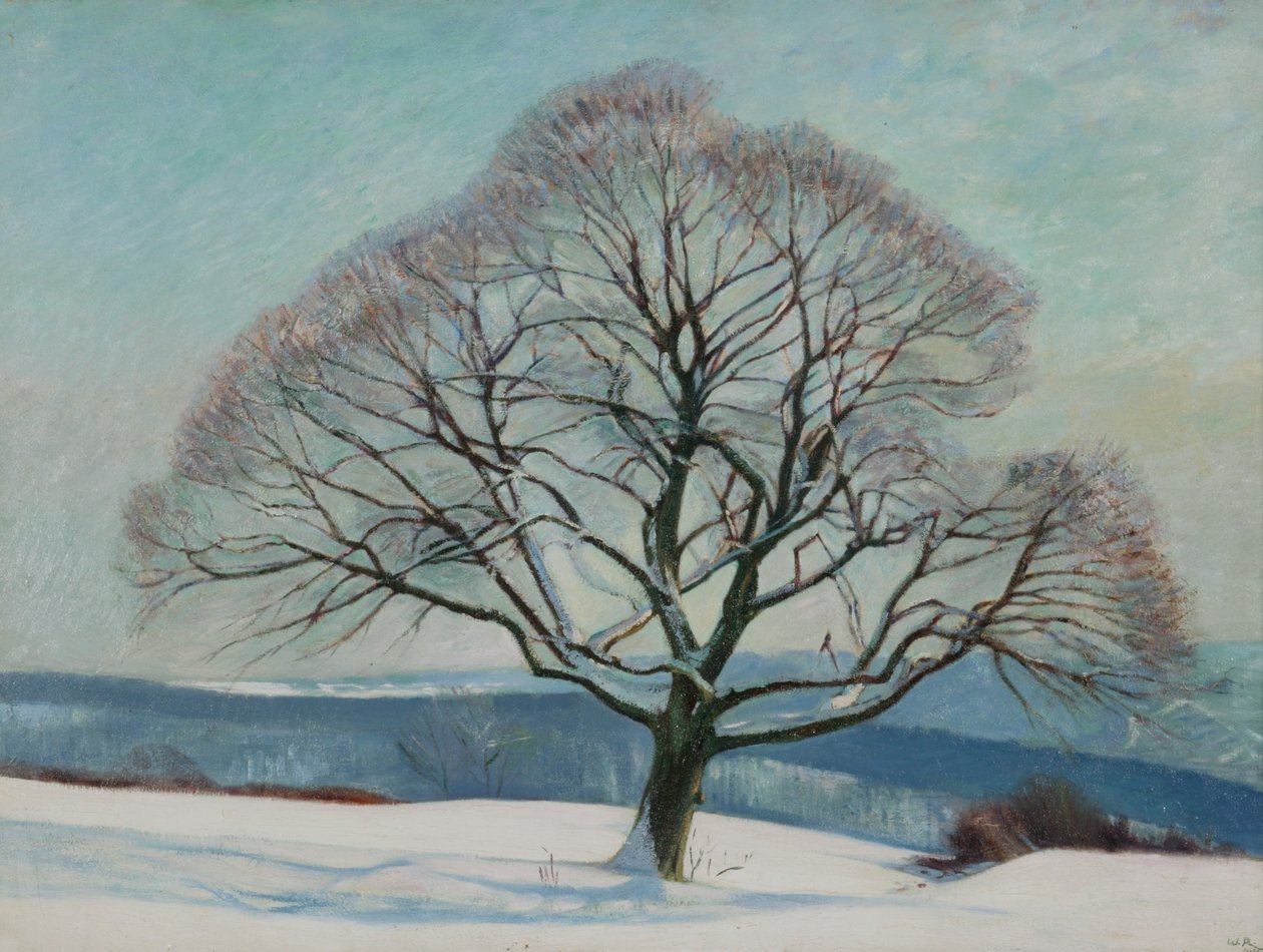 Træ om vinteren af William Rothenstein