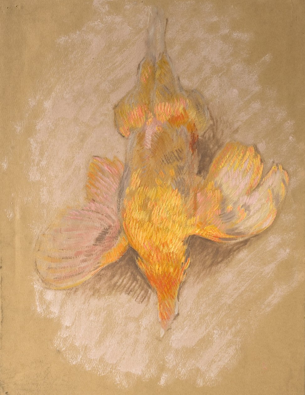 Study of a Fowl for Highland Raiders, ca. 1918 (olie på papir) af William Shackleton
