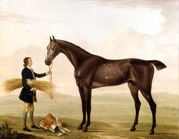 En dapple grå hingst holdt af en brudgom af William Shaw