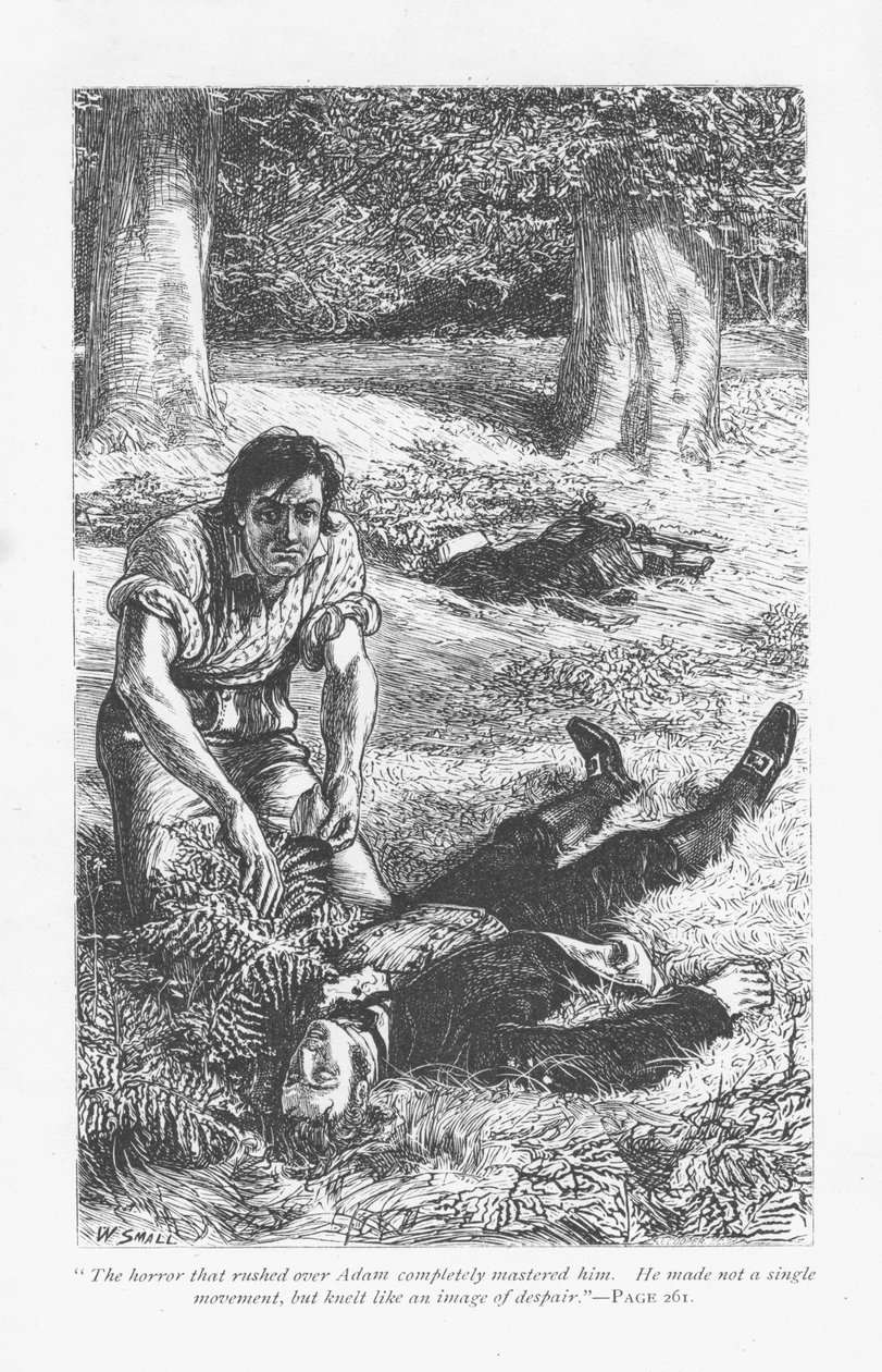 Adam Bede, efter at have overvundet Arthur Donnithorne i en kamp, er forfærdet over at se sin rival ligge bevidstløs. Adam Bede af George Eliot, udgivet første gang 1859. Illustration af William Small (1843-1929) fra en udgave udgivet c1885. af William Small