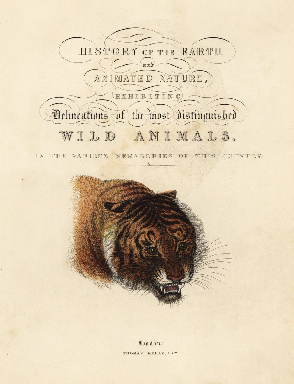 Kalligrafisk titelblad med vignet af tiger af William Smellie