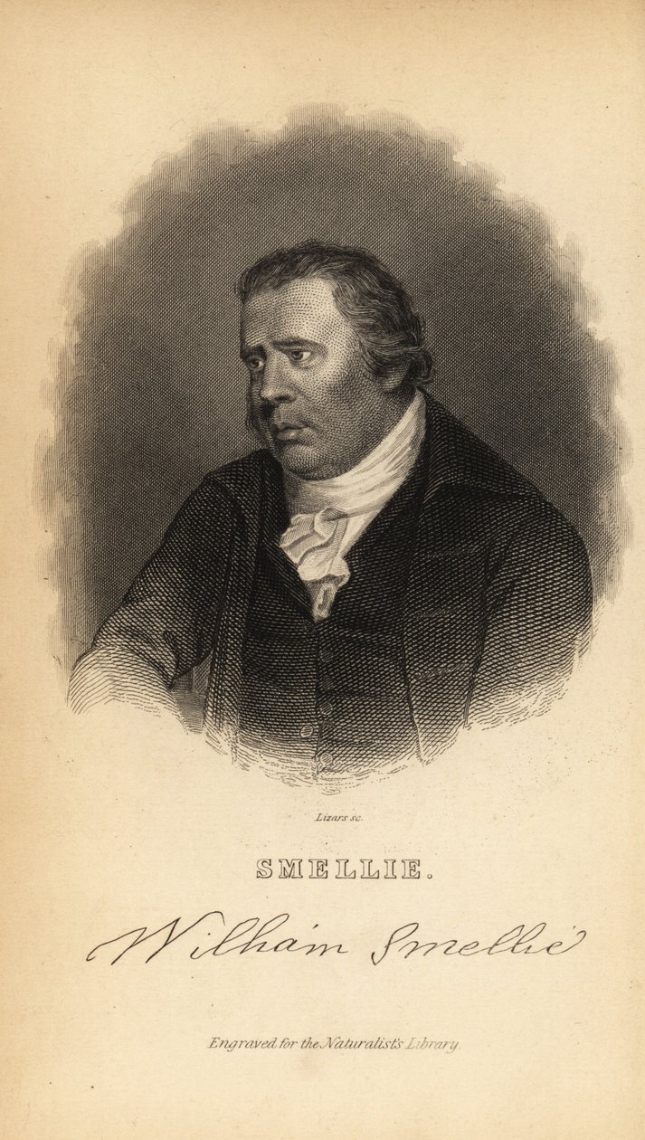 William Smellie, mestertrykker, oversætter, naturhistoriker, antikvar og encyklopædist af William Smellie