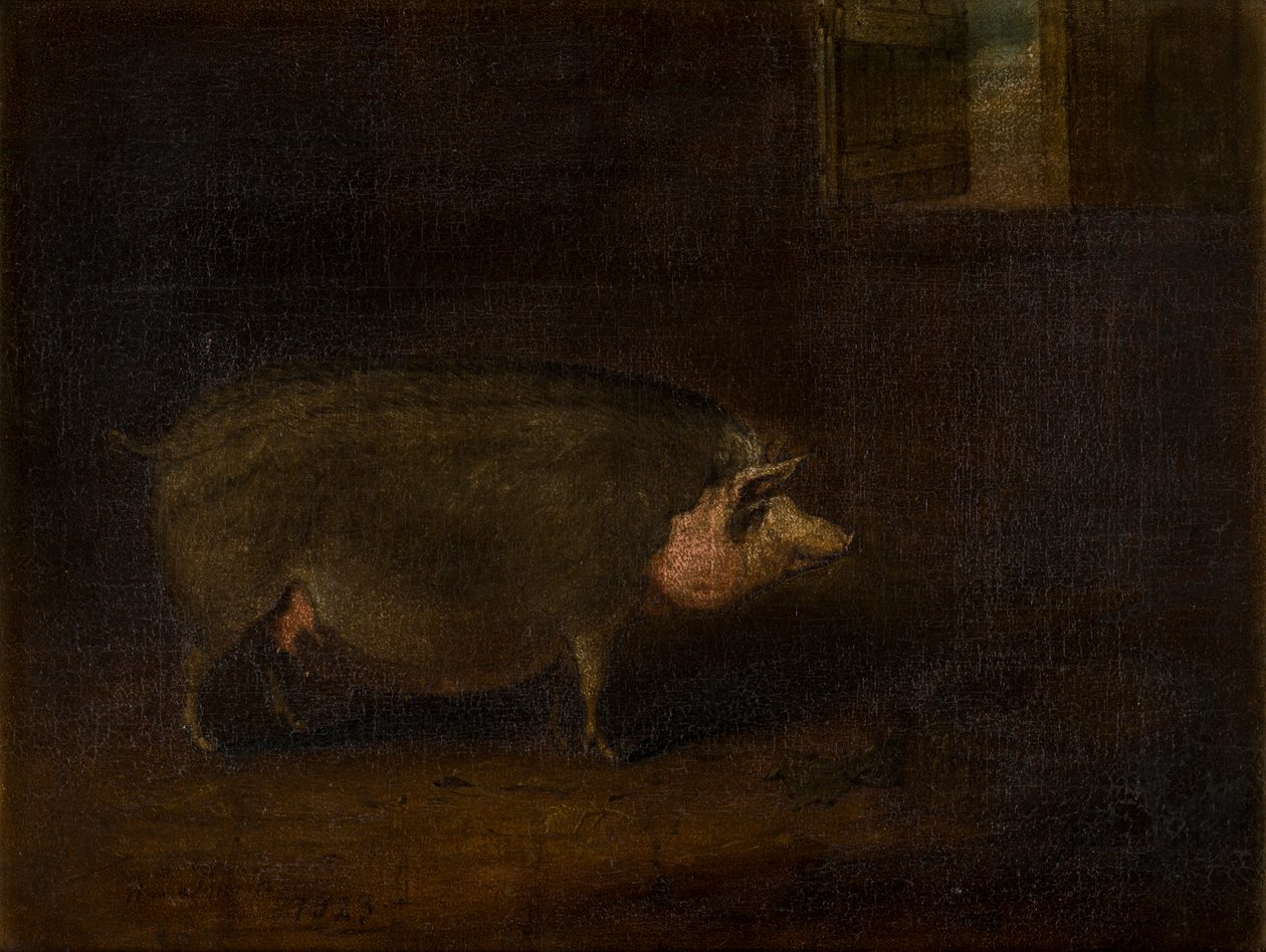 A Pig in a Sty, ca. 1823 (olie på lærred) af William Smith