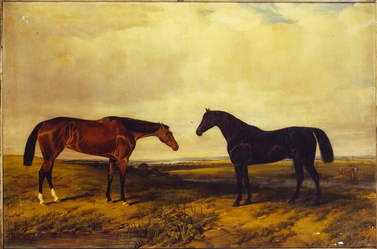 Jarlen af Granards lyse brune hoppeføl og mørkbrune hingst, 1885 af William Snr. Luker