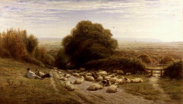 The Sunny Side of a Shepherd