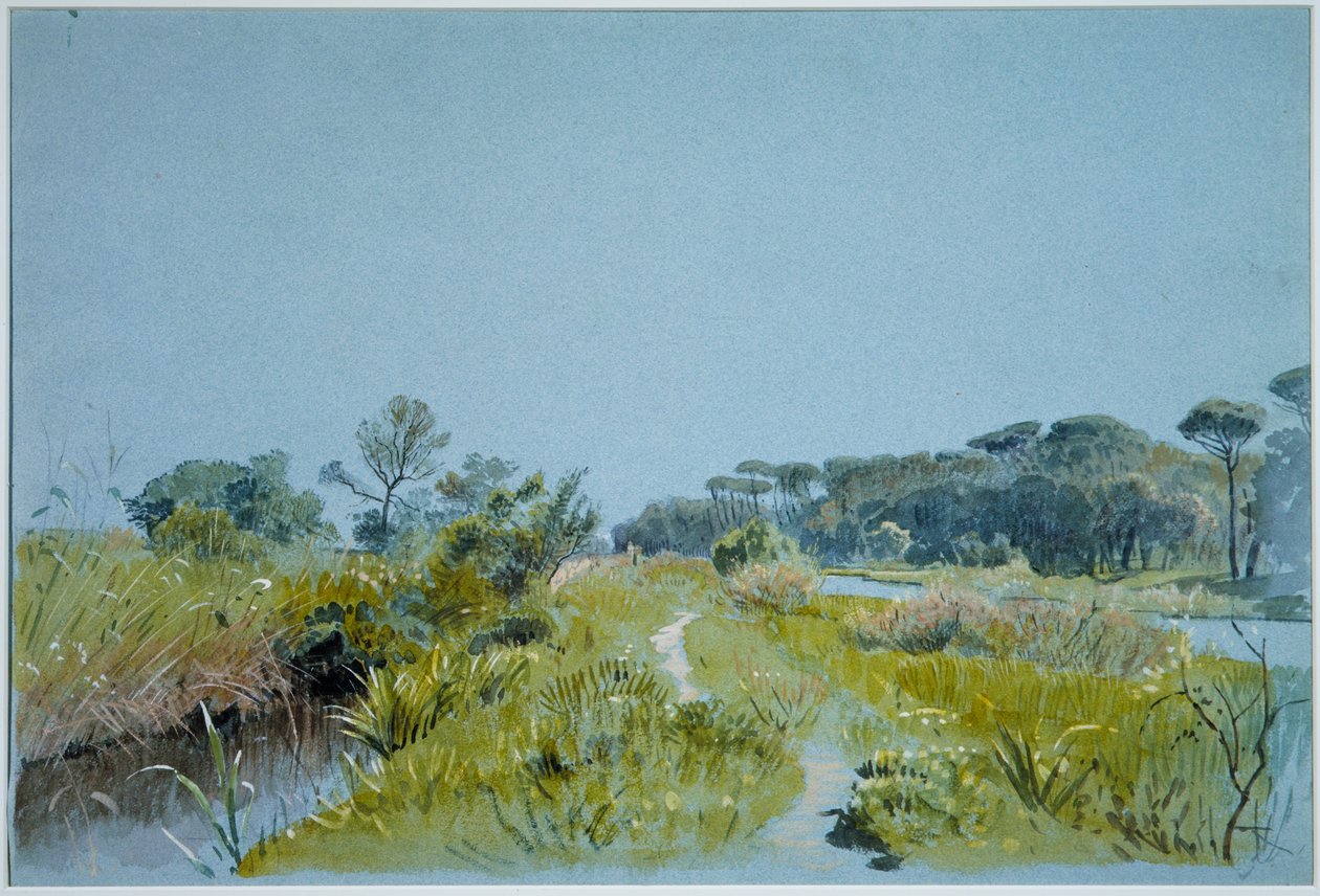 Castel Fusano - nær Rom af William Stanley Haseltine