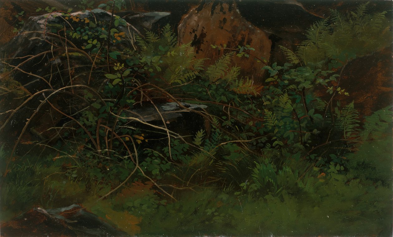 Studie fra naturen. af William Stanley Haseltine