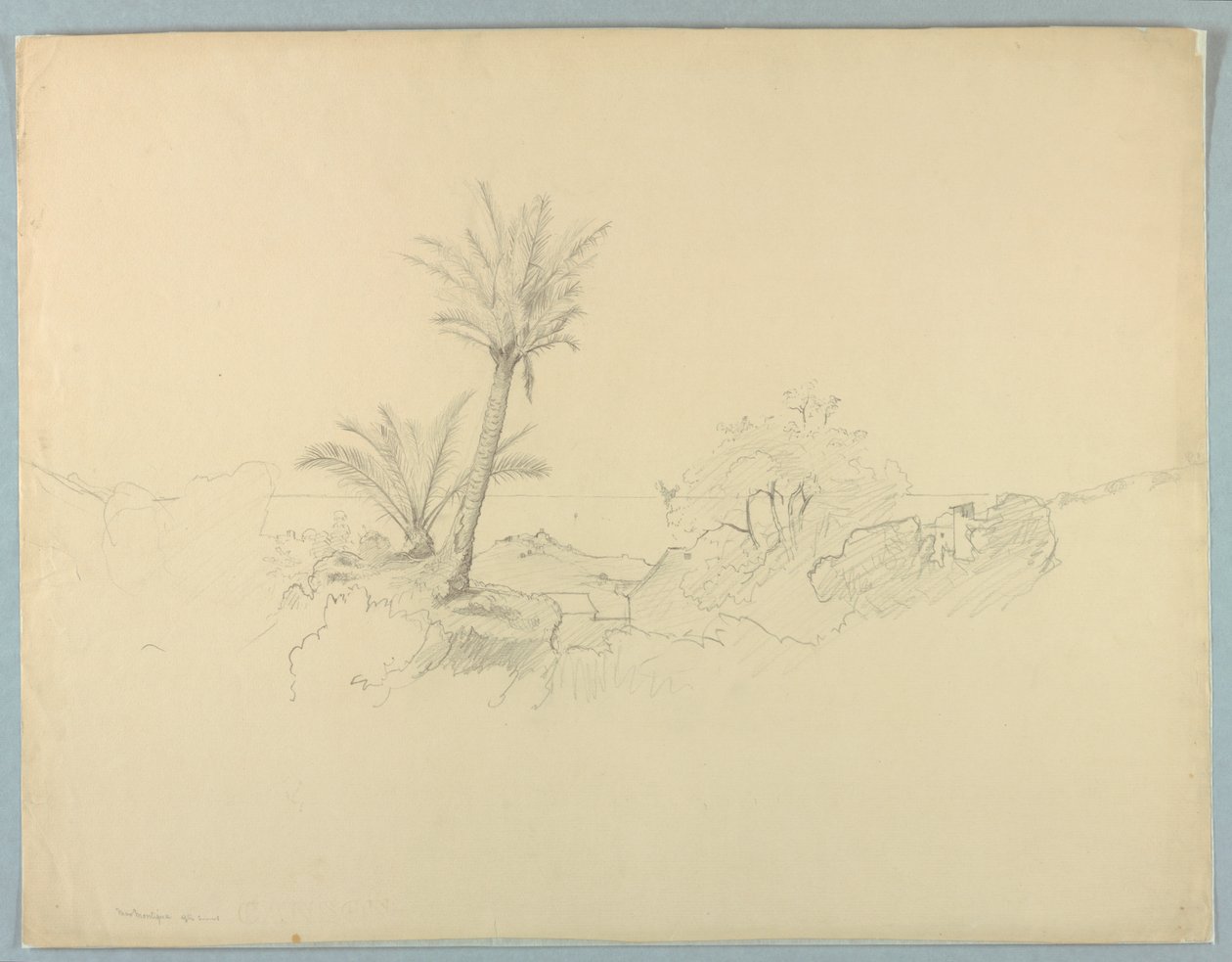 Undersøgelse af havlandskab af William Stanley Haseltine