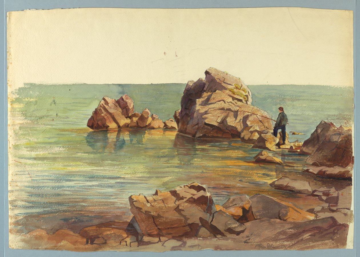 Undersøgelse af havlandskab af William Stanley Haseltine
