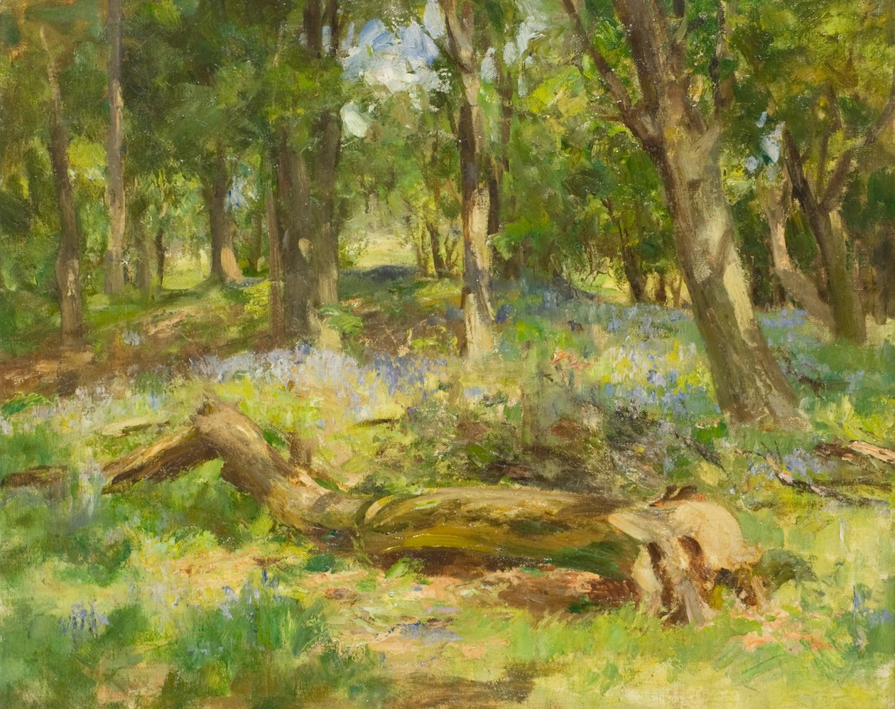 Woodland Scene (olie på lærred) af William Stewart MacGeorge