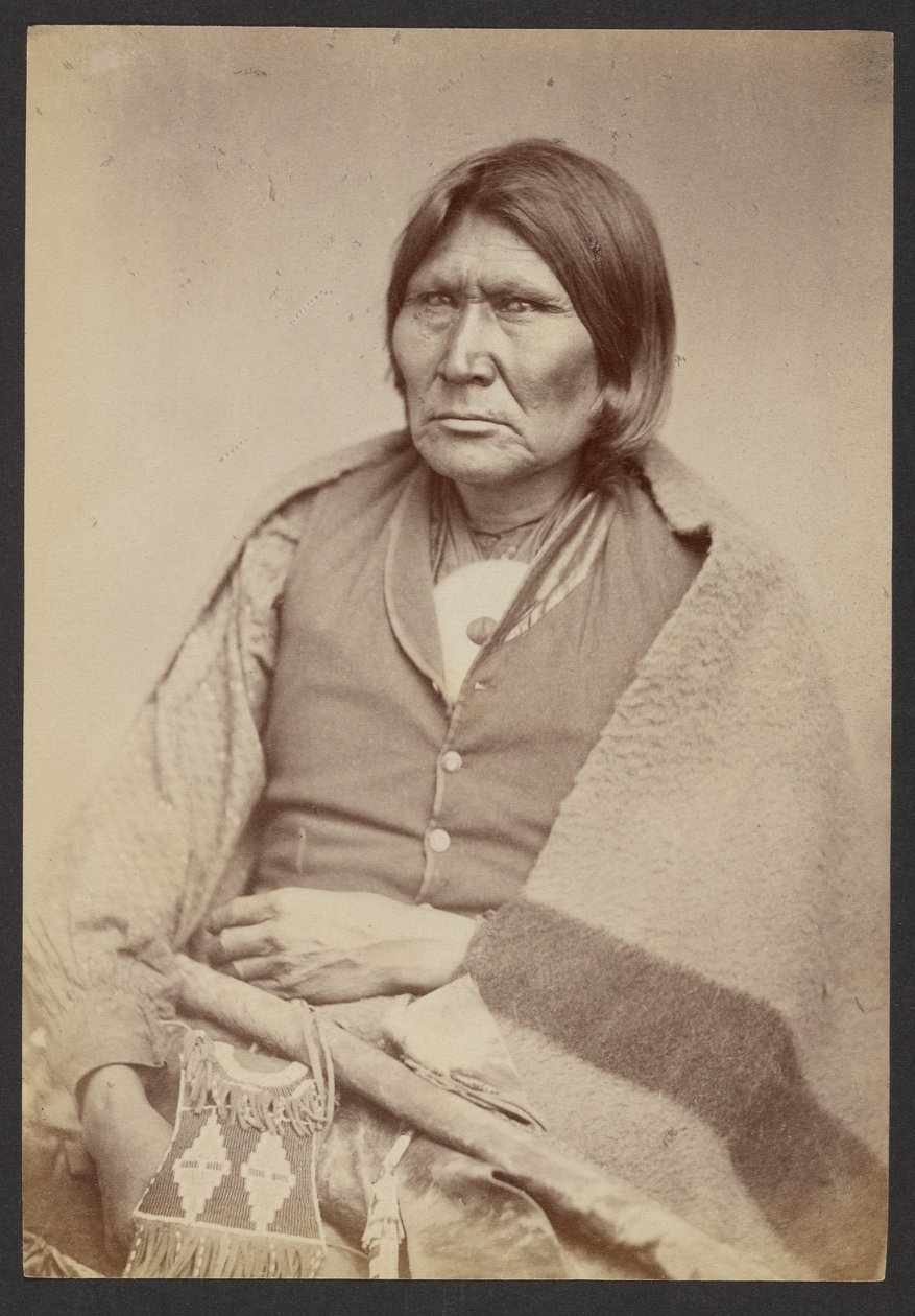 Comanche-høvding til hest [Tuh-huh-yet, Nau-qua-hip, Champion Rider]. af William Stinson Soule