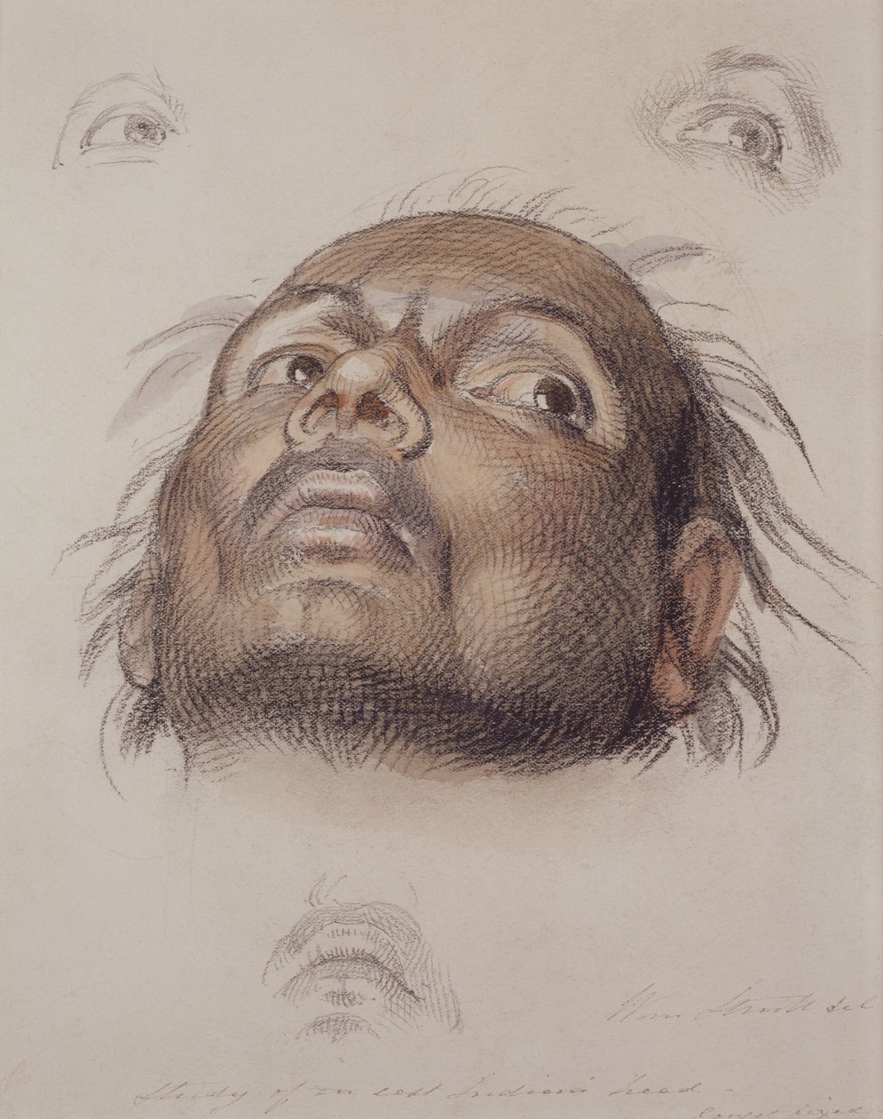 Studie af en østindians hoved, ca. 1875 (farveblyant og vask på papir) af William Strutt