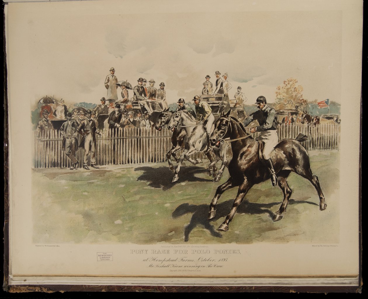 Ponyløb for polo ponyer af William Sullivant Vanderbilt Allen