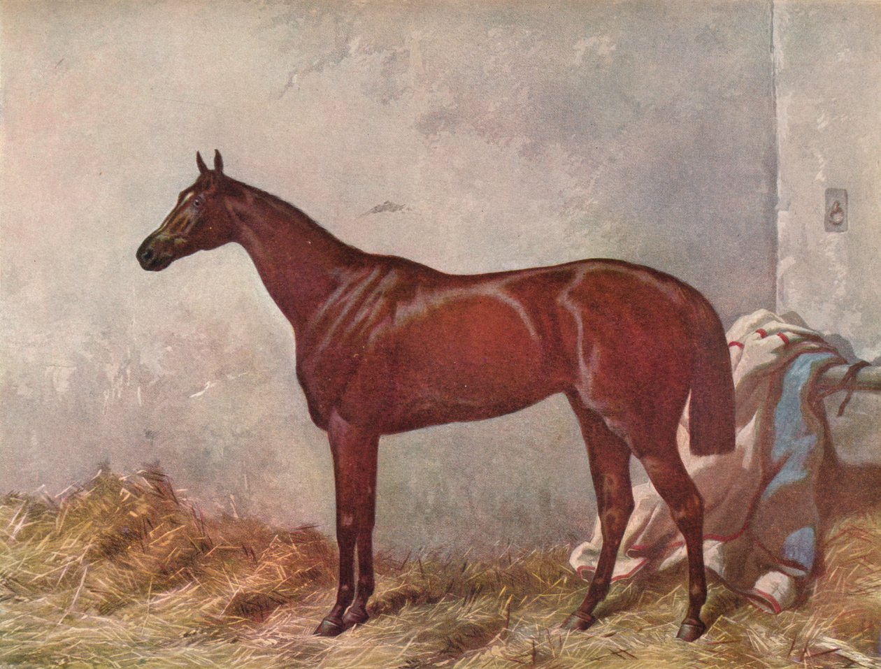 Eremit: vinder af Derby Stakes i Epsom, 1867, 1903 af William Summers