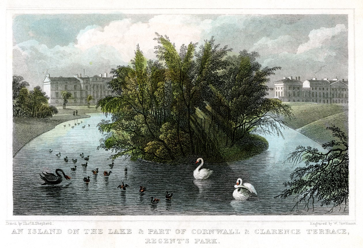 Ø ved søen og en del af Cornwall og Clarence Terraces, Regents Park, London, 1828. af William Tombleson