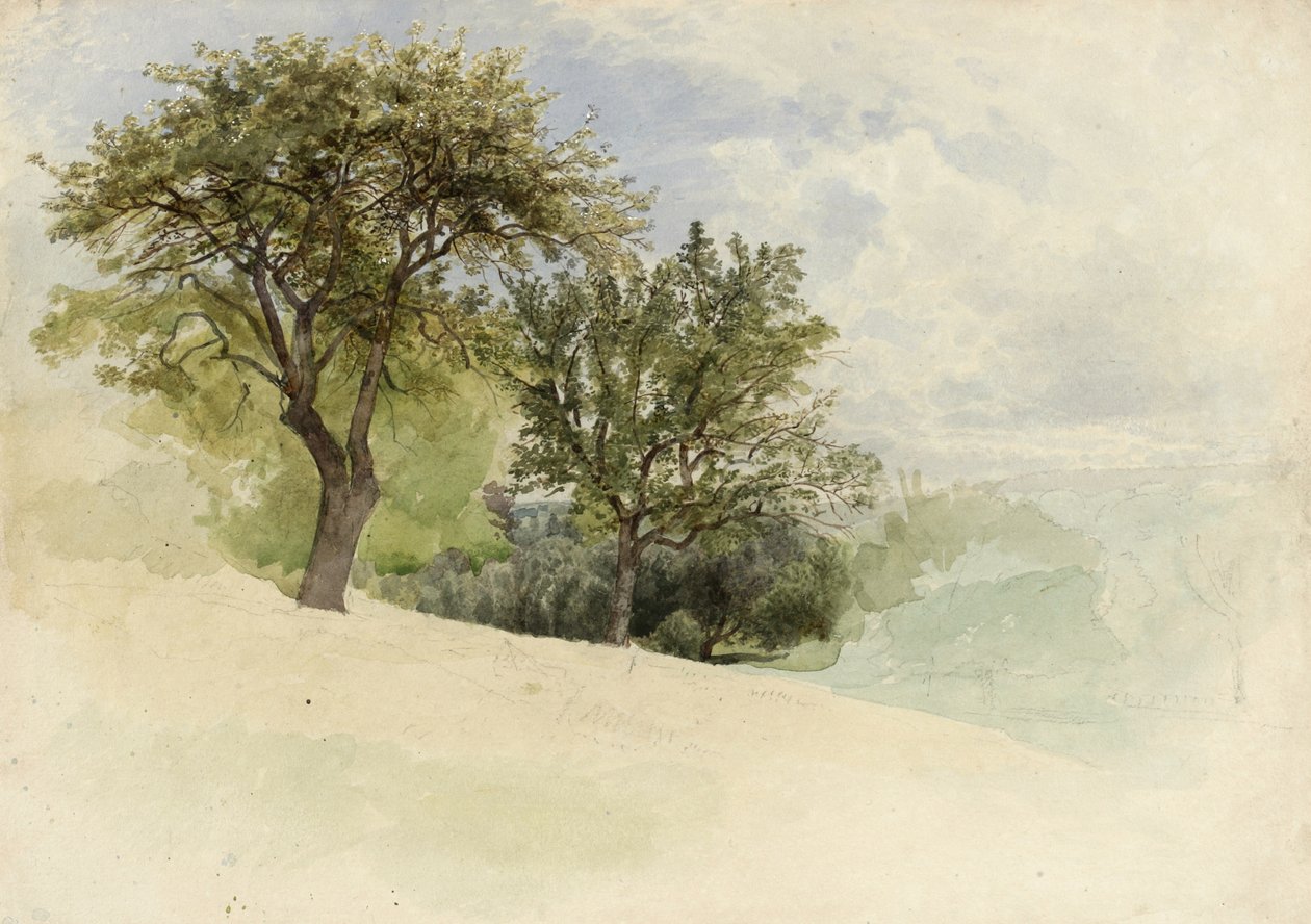 Landskab med træer på en bakkeskråning, 1880-85 (wc, grafit og strejf af hvid gouache på cremet kraftigt vævet papir) af William Trost Richards