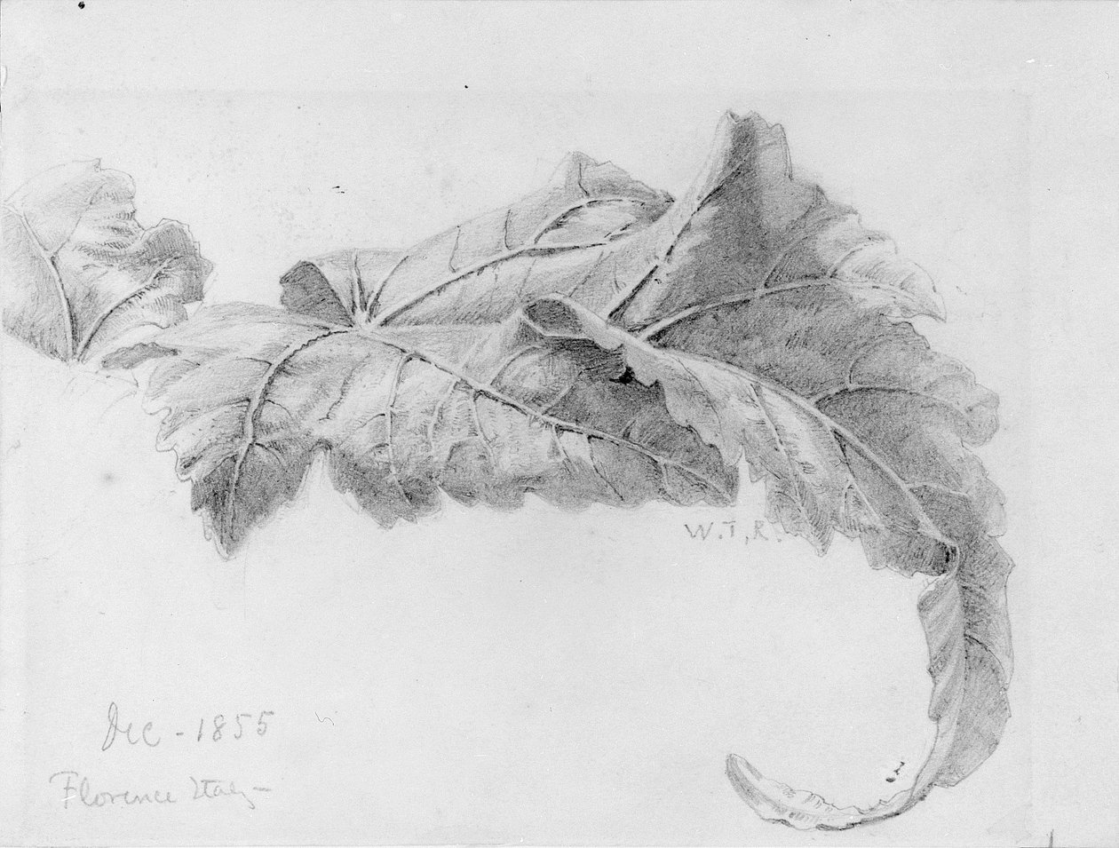 Blade af William Trost Richards