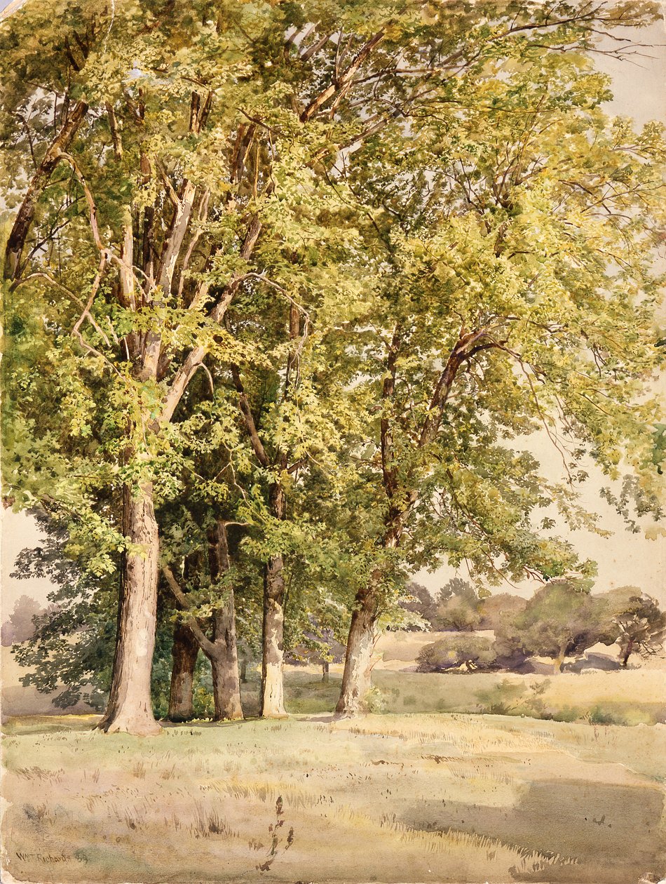 Ahorntræer i Chester County, Pennsylvania af William Trost Richards