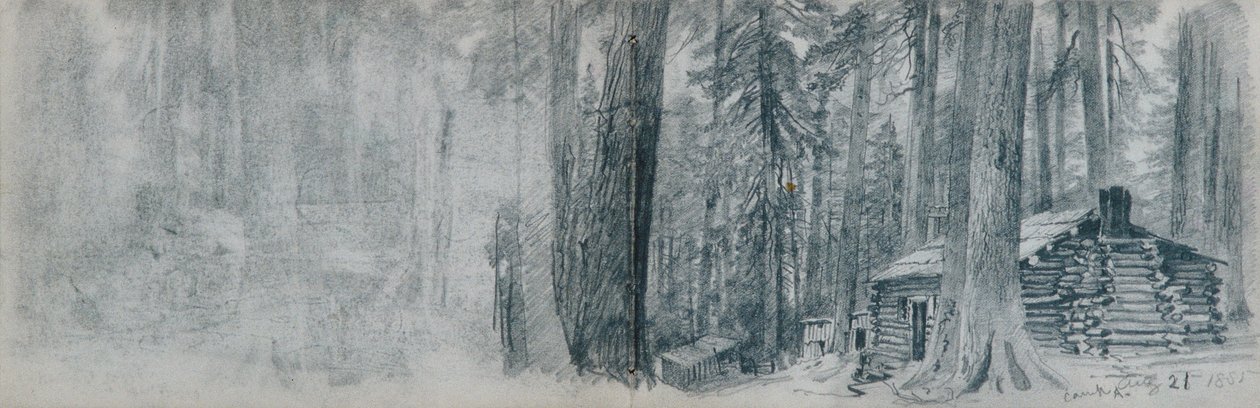Skitsebog med landskabsmotiver fra det nordvestlige Stillehavsområde af William Trost Richards