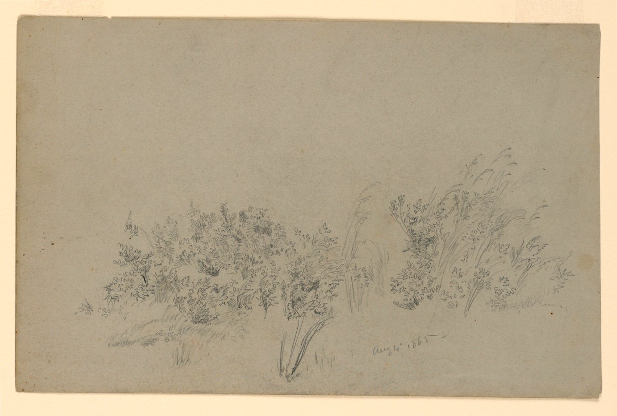 Undersøgelse af løv af William Trost Richards