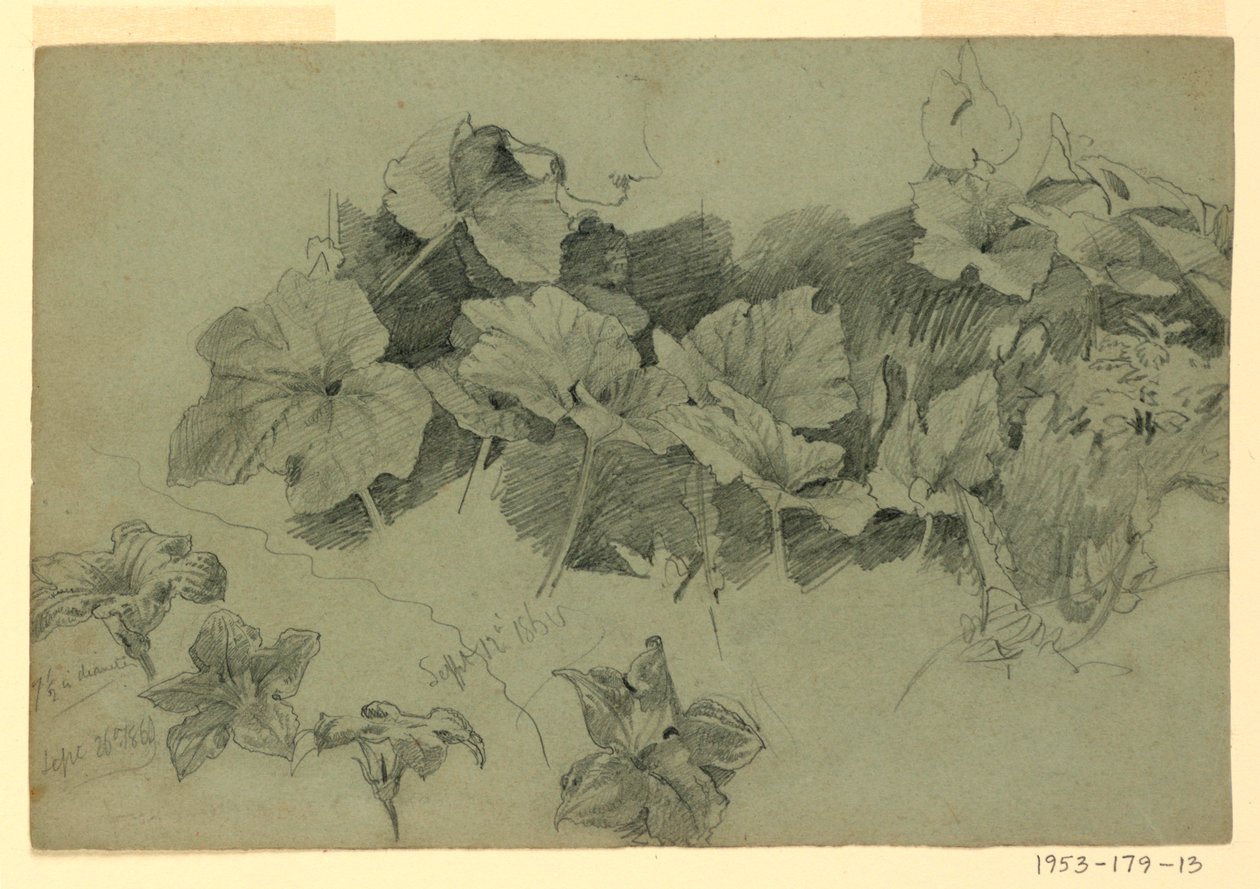Undersøgelse af løv af William Trost Richards