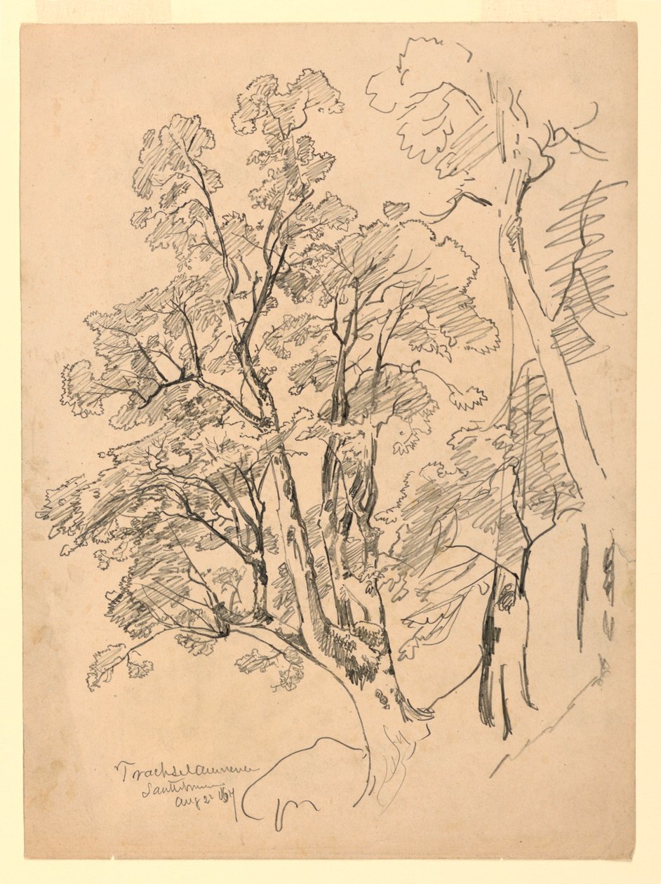 Undersøgelse af løv, Trachselwald, Bern, Schweiz af William Trost Richards
