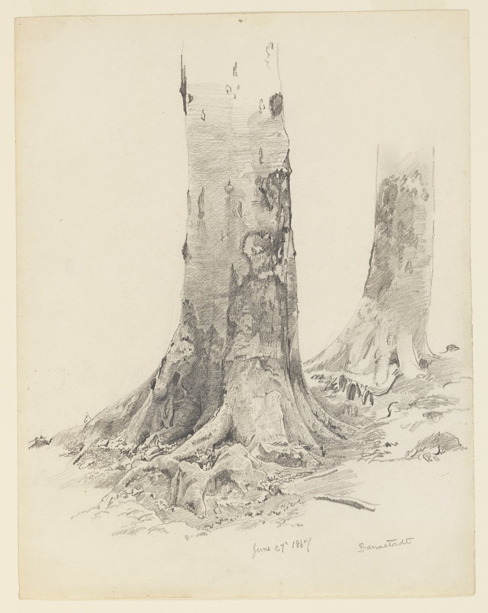 Træstammer, Darmstadt af William Trost Richards