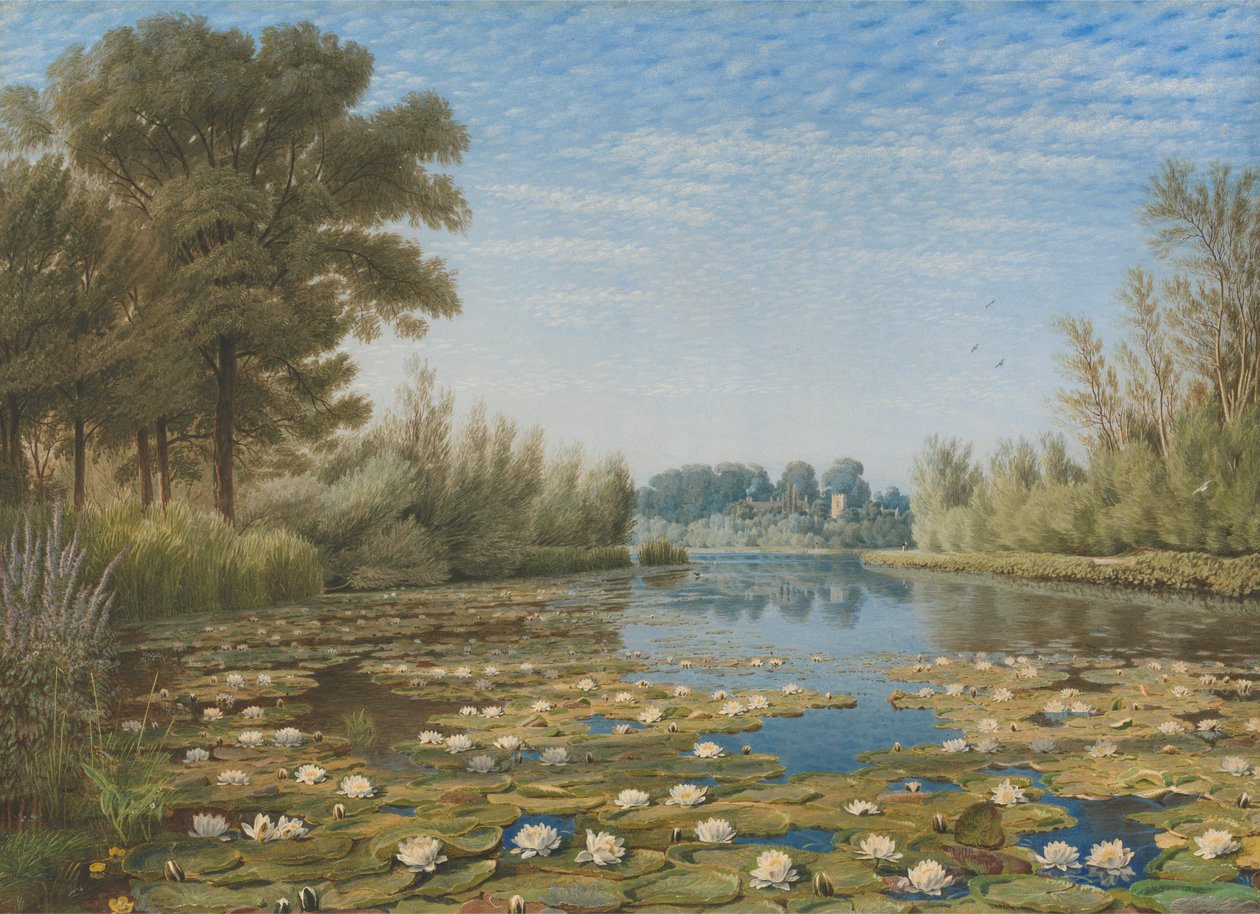 Scene nær Shipton on Cherwell, Oxfordshire af William Turner of Oxford