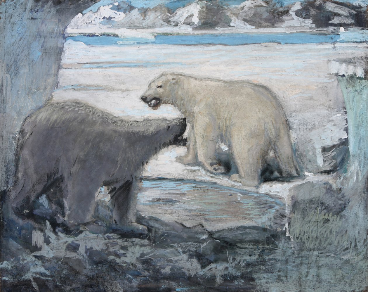 Bears 