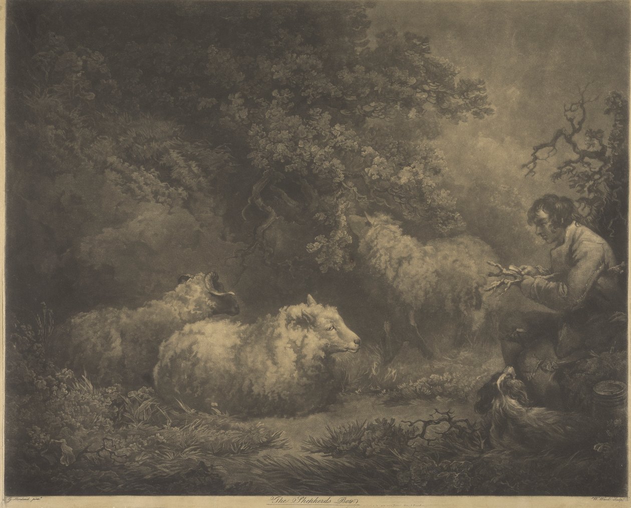 Hyrde-drengen af William Ward