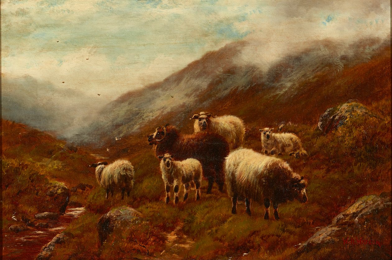 Highland Sheep On a Hillside (olie på lærred) af William Watson