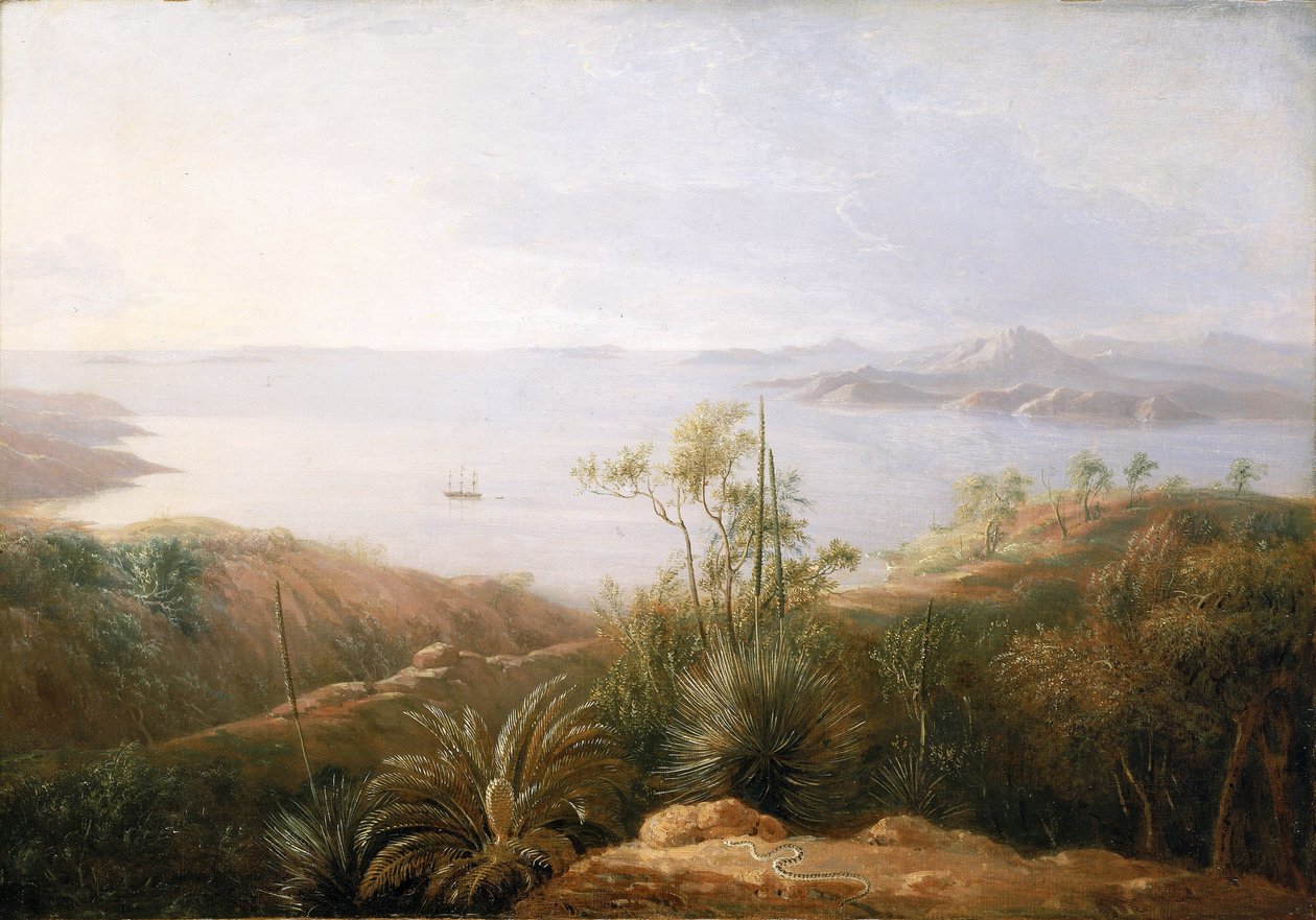 En bugt på sydkysten af New Holland (Australien), januar 1802, under Matthew Flinders (1774-1814) ekspedition på Investigator mellem 1801 og 1803, for at kortlægge de sydlige lande, maleren var en del af ekspeditionen. af William Westall