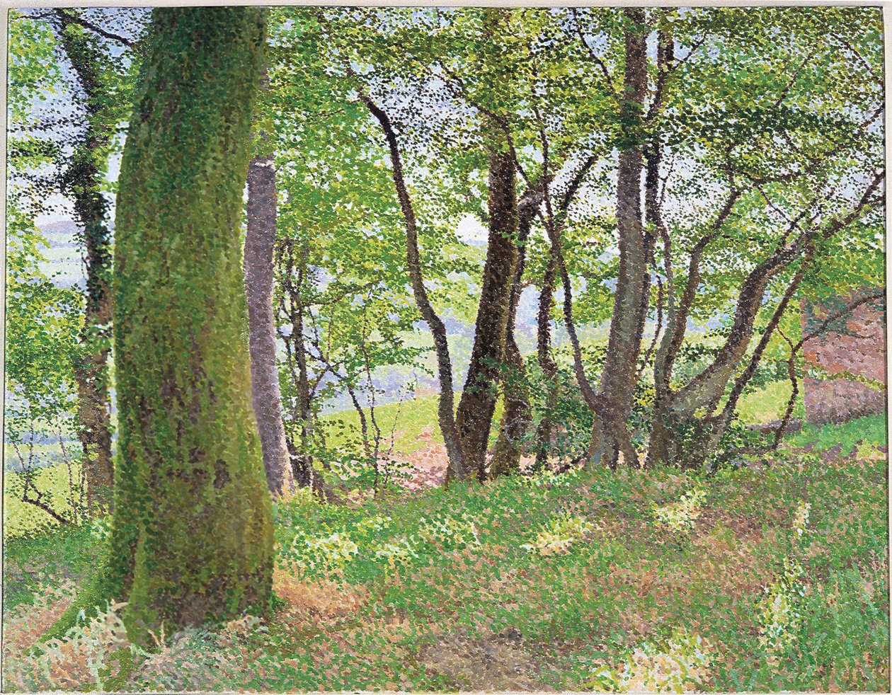 Carmarthenshire eftermiddag af William Wilkins
